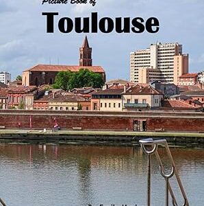 Toulouse: A Beautiful Visual Journey for Travel and Photography Lovers